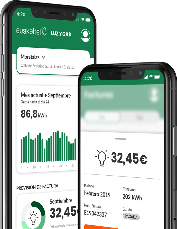 Euskaltel - Bazenekien etxeen % 60k behar baino potentzia handiagoa erabiltzen duela?